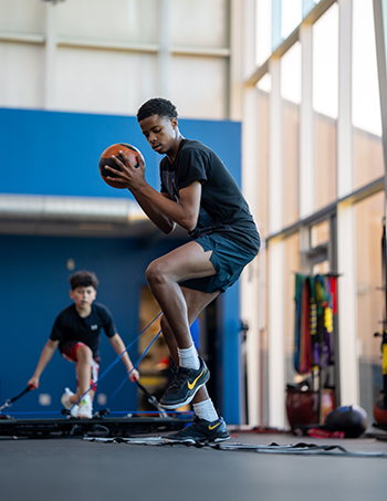 vertimax-350px